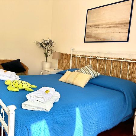 Materdei Apartments 那不勒斯 外观 照片